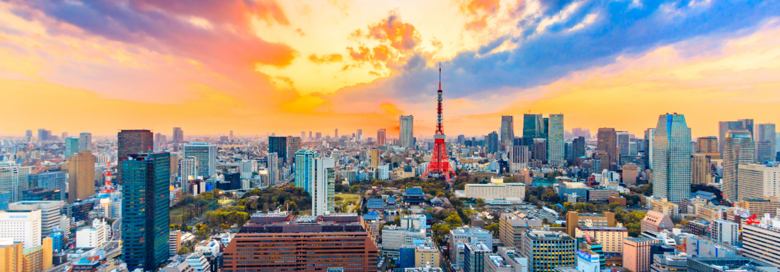 メインビュー画像2