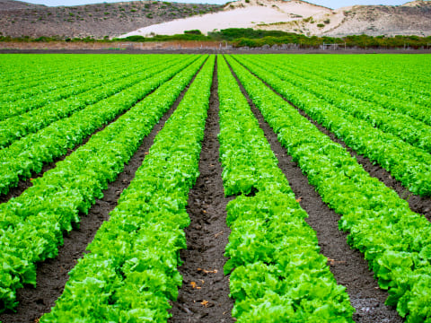 テクノロジー画像04